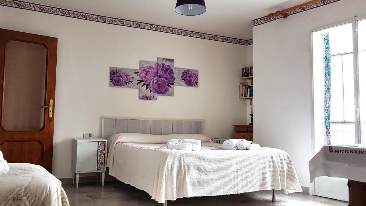 B&B Regina Elena Pignola Dış mekan fotoğraf