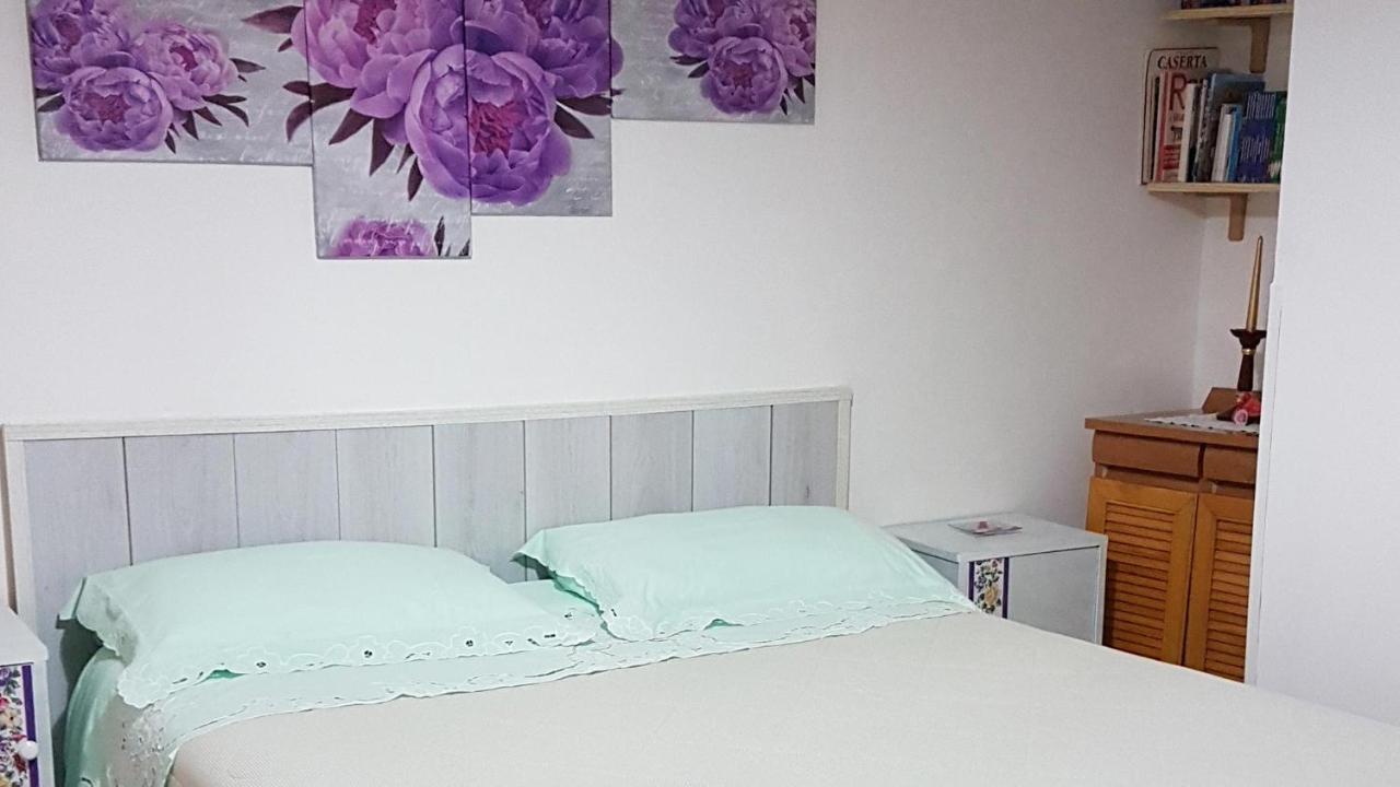 B&B Regina Elena Pignola Dış mekan fotoğraf