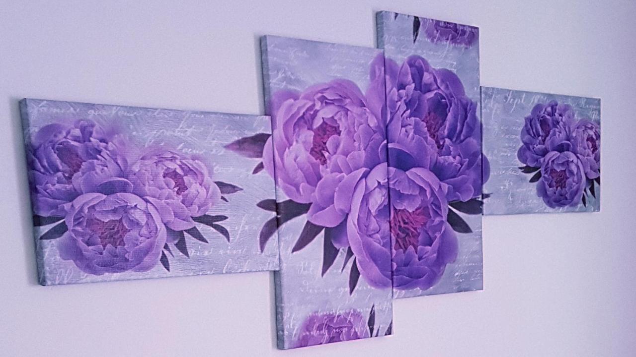 B&B Regina Elena Pignola Dış mekan fotoğraf