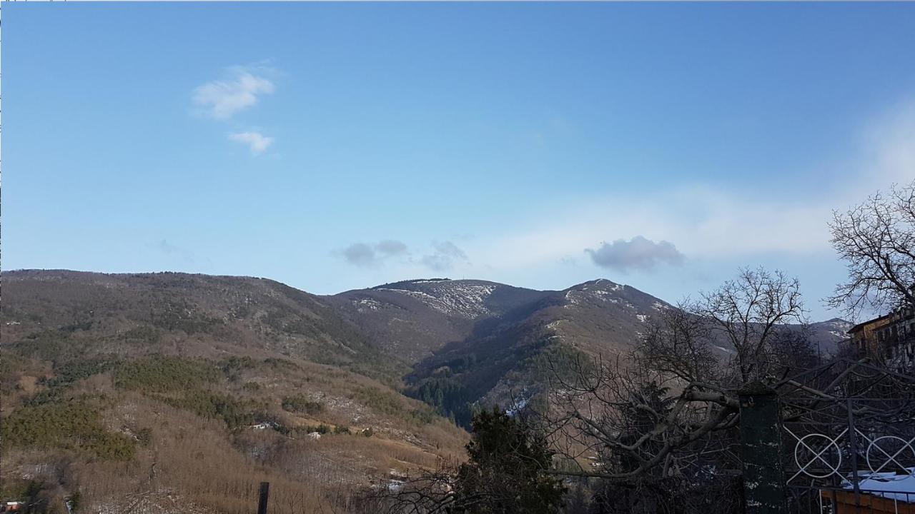 B&B Regina Elena Pignola Dış mekan fotoğraf